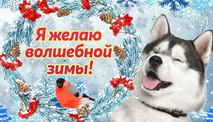 Новые гифки с Зимними пожеланиями 2022 - 2023 (40 картинок)