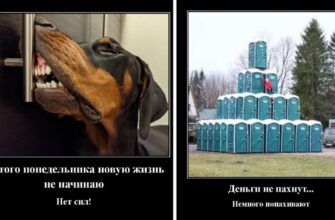 Ржачные демотиваторы 2023 (50 фото)