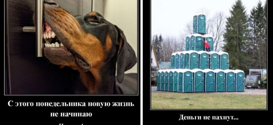 Ржачные демотиваторы 2023 (50 фото)