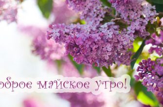 Красивые картинки с добрым Майским утром 2023 (50 фото)