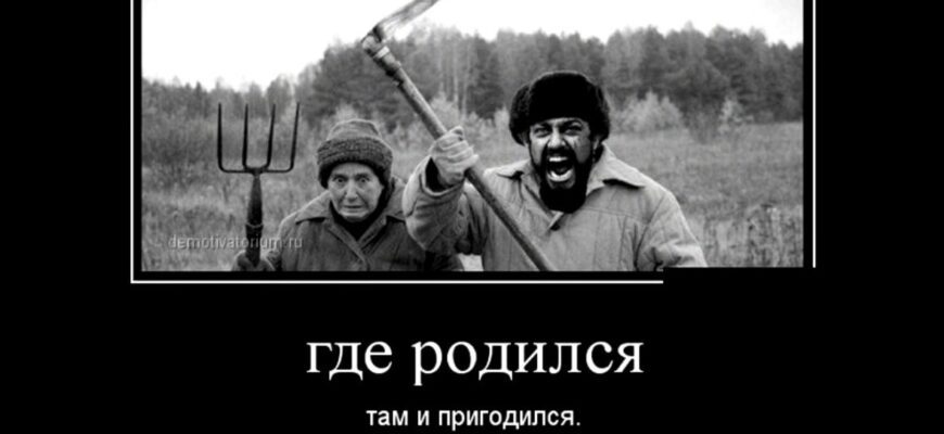 Лучшие демотиваторы 2024 (50 фото)