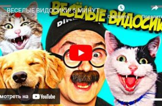 Смешные видео посмешней 2023