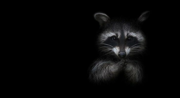 Самые красивые чёрно-белые фото (100 фото)