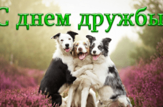 Смешные картинки международный день друзей 9 Июня 2023 (50 фото)