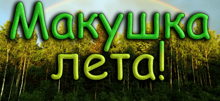 Красивые картинки Макушка лета 1 Июля 2023 (30 фото)