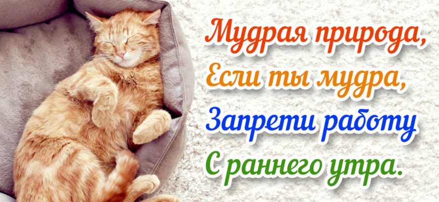 Картинки с добрым утром и хорошего дня (600 шт.)