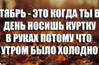 Смешные картинки про Сентябрь (40 фото)