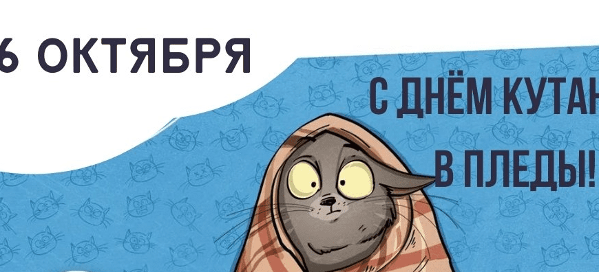 Смешные картинки с днём кутания в пледы 26 Октября 2023 (30 фото)