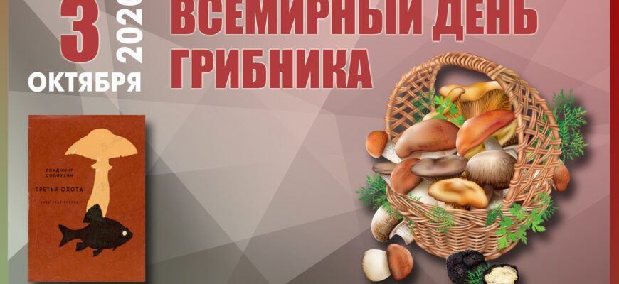 Поздравления со Всемирным днём грибника 3 Октября 2023 (30 фото)