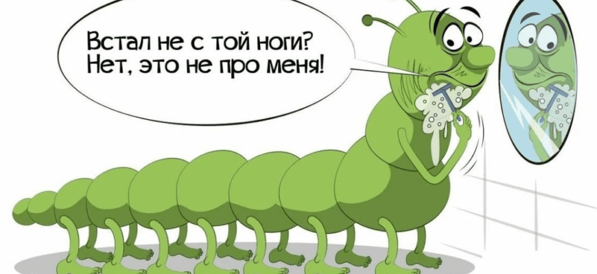 Картинки на день вставания с той ноги 23 Ноября 2023