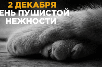 Картинки с днём Пушистой Нежности 2 Декабря (30 фото)