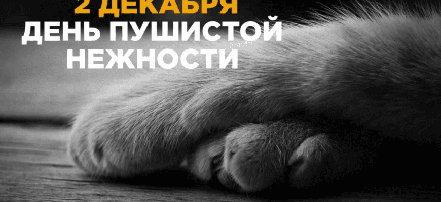 Картинки с днём Пушистой Нежности 2 Декабря (30 фото)