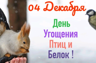 Картинки на день угощения Птиц и Белок 4 Декабря (20 фото)