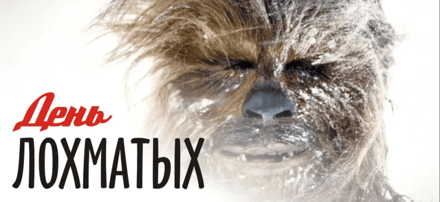 Картинки с днём Лохматых 16 Декабря 2023 (30 фото)