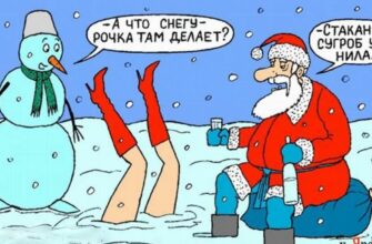 Прикольные новогодние демотиваторы и смешные картинки 2024 (60 фото)