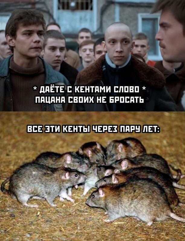 Картинки "Мемы Слово Пацана" (50 фото)