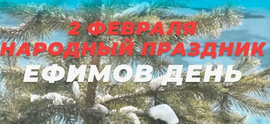 Картинки на "Ефимов день" 2024 (53 фото)