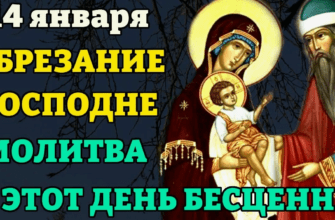 Гифки на "Обрезание Господне" 14 Января 2026 (35 gif картинок)
