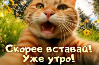 Новые необычные гифки с добрым утром 2024 (40 gif картинок)