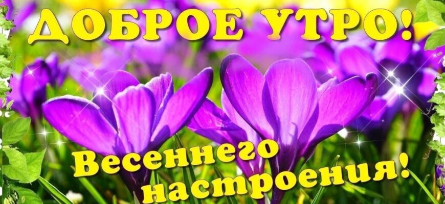 Весенние картинки с добрым утром Вторника (40 открыток)