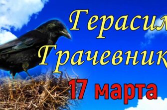 Гифки с днём Герасима – Грачевника (10 gif картинок)