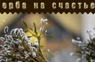 Гифки с веточкой Вербы (15 gif картинок)