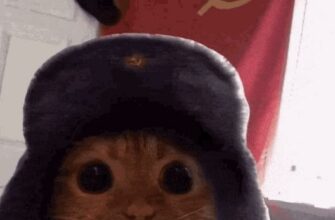 Гифка Кот в Советской шапке на фоне флага СССР