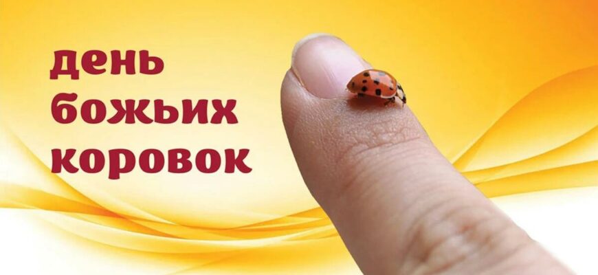 Картинки с днём Божьей Коровки 13 Июня