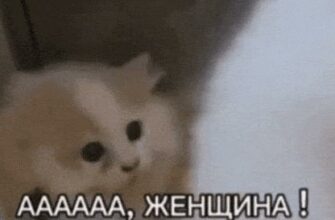 Смешные гифки "Аааа, Я Женщина!"