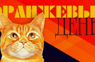 Картинки Оранжевый день 5 Сентября (15 фото и гиф)