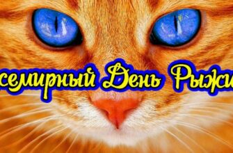 Картинки с поздравлениями с днём Рыжих (25 фото и гиф)