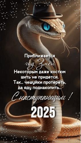 Смешная картинка на приближающийся 2025 год со змеёй в шляпе и высунутым языком.. Смешная картинка на приближающийся 2025 год со змеёй в шляпе и высунутым языком..