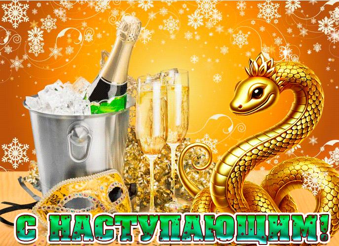 Красивая картинка с шампанским и золотой змеёй, с наступающим. Красивая картинка с шампанским и золотой змеёй, с наступающим.