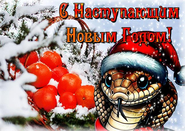 Зимняя мандариновая картинка с наступающим новым годом змеи. Зимняя мандариновая картинка с наступающим новым годом змеи.