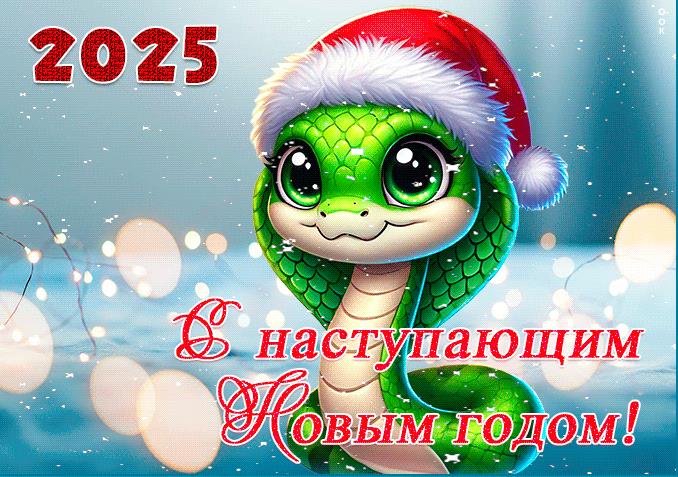 Прикольная открытка для самых маленьких "С наступающим новым годом 2025!" с зелёной змейкой в новогодней шапке. Прикольная открытка для самых маленьких "С наступающим новым годом 2025!" с зелёной змейкой в новогодней шапке.