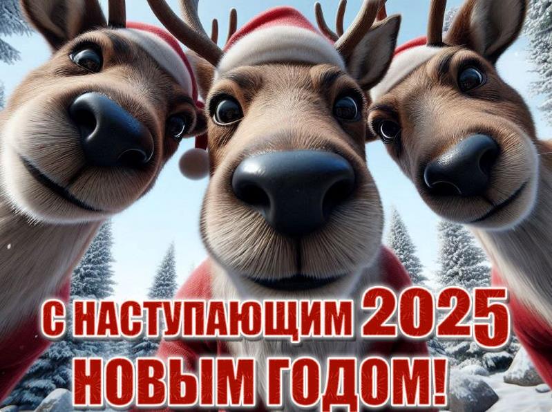 Смешная картинка с оленями и поздравлением с наступающим 2025 годом. Смешная картинка с оленями и поздравлением с наступающим 2025 годом.