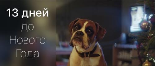 Смешная открытка с собакой у ёлки когда осталось 13 дней до нового года. Смешная открытка с собакой у ёлки когда осталось 13 дней до нового года.