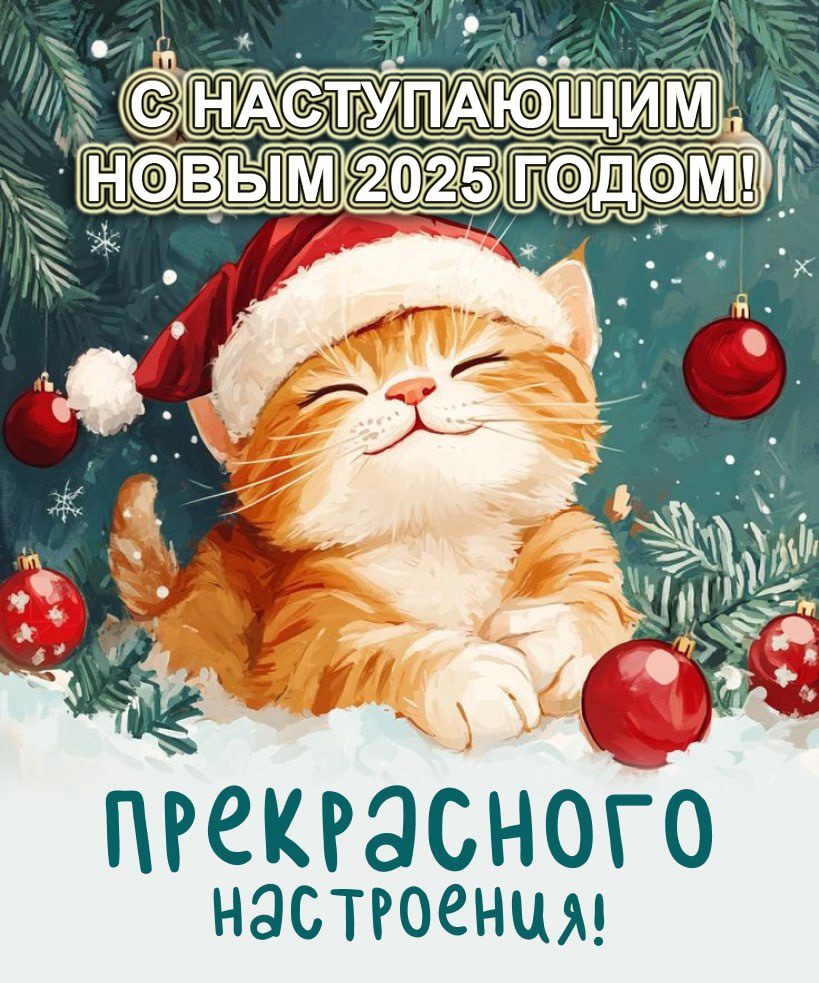 Прикольные картинки с наступающим Новым Годом 2025 (55 фото)