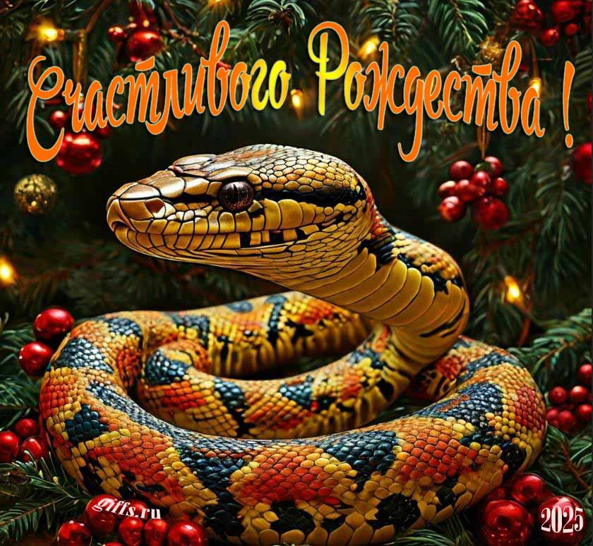 Новая крутая картинка для пожелания счастливого Рождества в 2025 году. Новая крутая картинка для пожелания счастливого Рождества в 2025 году.