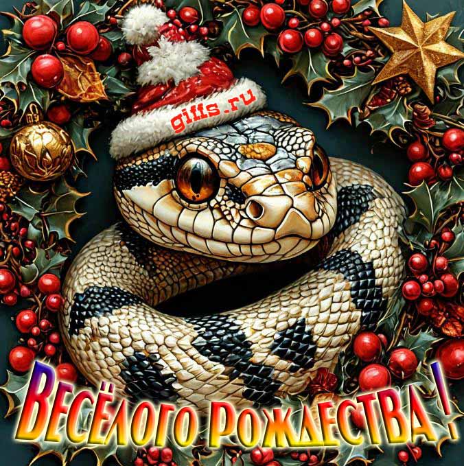 Прикольная картинка со змеёй в шапке деда мороза для пожелания весёлого Рождества. Прикольная картинка со змеёй в шапке деда мороза для пожелания весёлого Рождества.