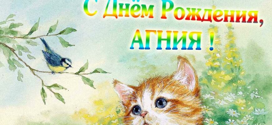Открытки с днём рождения Агния (Картинки, аудио поздравления, гифки)