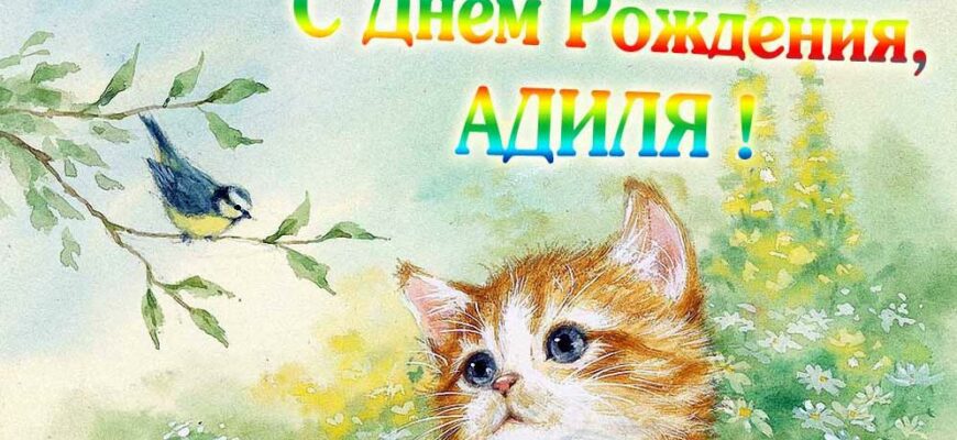 Открытки с днём рождения Адиля (Картинки, аудио поздравления, гифки)