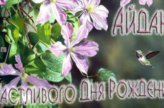 Открытки с днём рождения Айдана (Картинки, аудио поздравления, гифки)