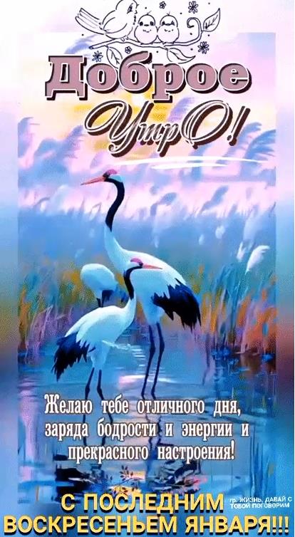 Красивая картинка доброе утро и с последним Воскресеньем Января со стихами. Красивая картинка доброе утро и с последним Воскресеньем Января со стихами.