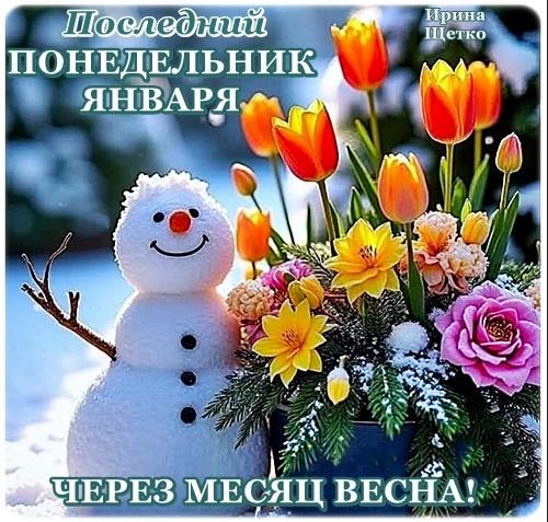 Прикольная открытка со снеговиком и тюльпанами в последний понедельник Января! Через месяц Весна! Прикольная открытка со снеговиком и тюльпанами в последний понедельник Января! Через месяц Весна!