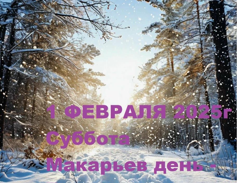 Открытка 1 Февраля 2025 года, суббота, Макарьев день!