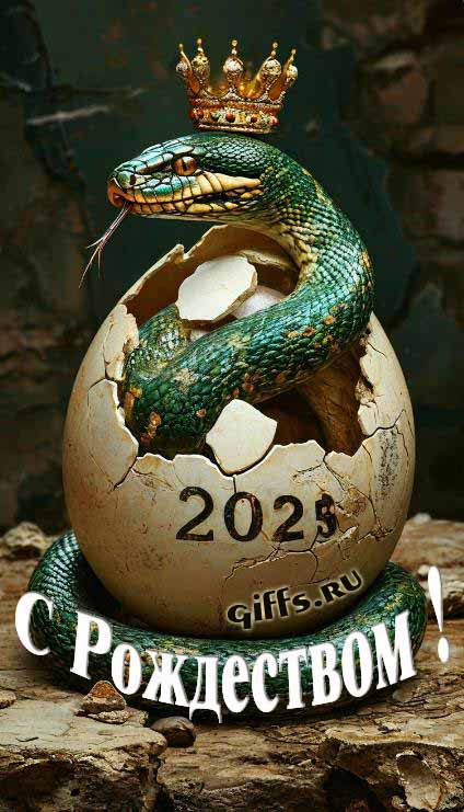 Необычное фото (картинка) королевская зелёная змея вылупляется из яйца на Рождество 2025.  Необычное фото (картинка) королевская зелёная змея вылупляется из яйца на Рождество 2025.