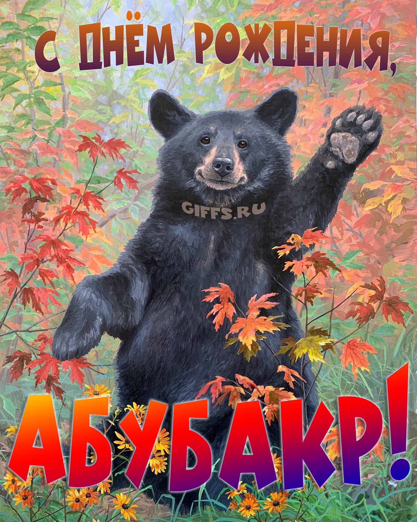 Смешная и прикольная осенняя картинка с машущим медведем "С днём рождения, Абубакр!".