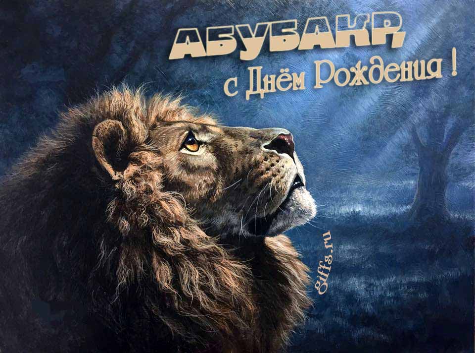 Крутая открытка со львом смотрящим на лунный свет и текстом "Абубакр, с днём рождения!".