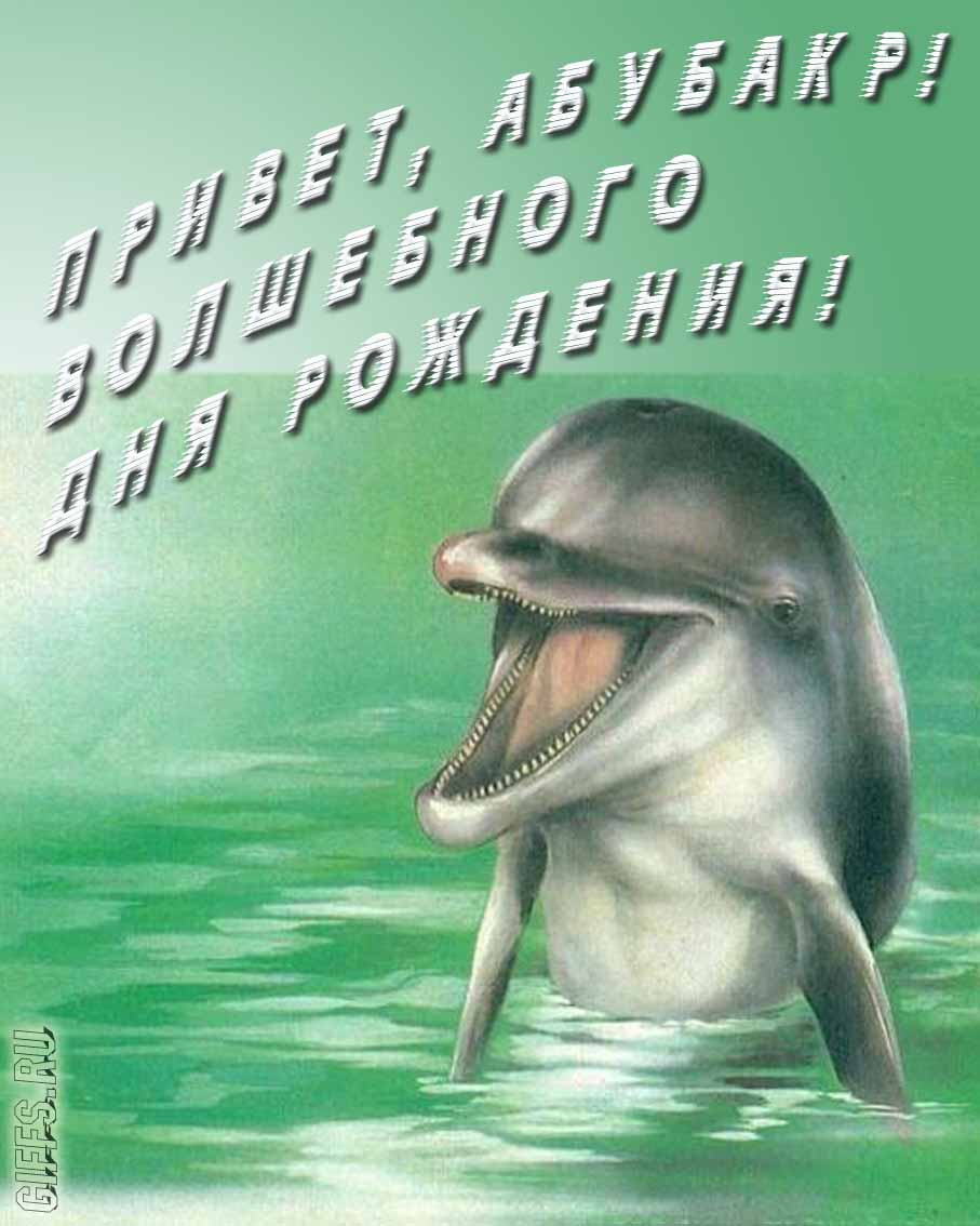 Прикольная картинка с дельфином "Привет, Абубакр! Волшебного дня рождения!".